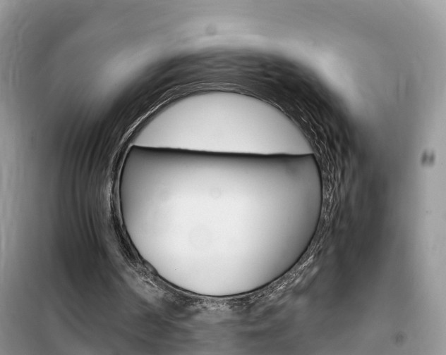 X0000102370194200808011032