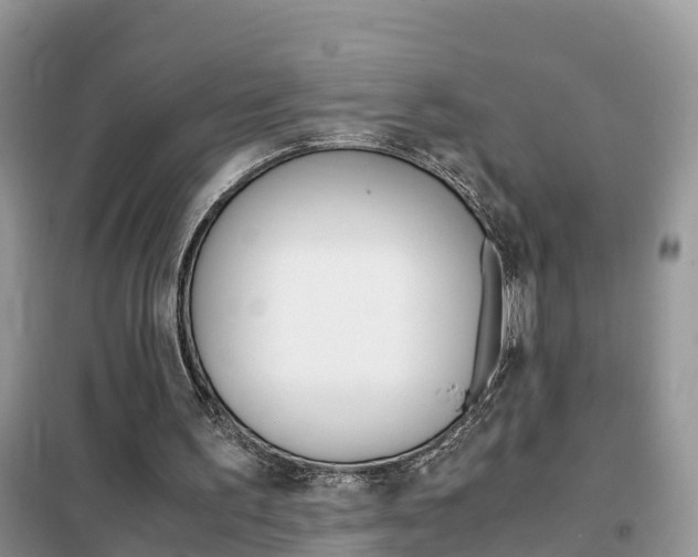 X0000102370195200808011032