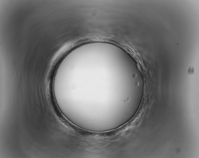 X0000102370197200808011031