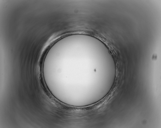 X0000102370198200808011031
