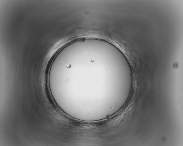X0000102370199200808011031