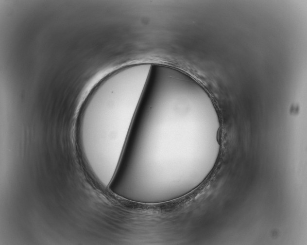 X0000102370200200808011031