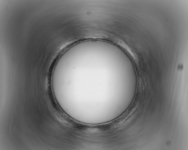 X0000102370203200808011031