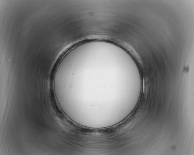 X0000102370204200808011031