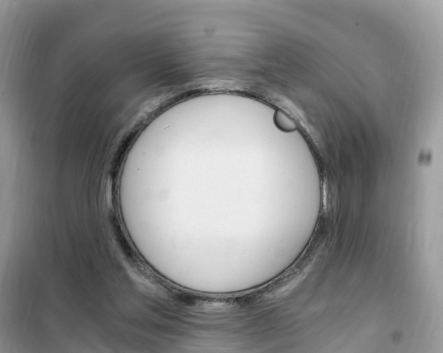 X0000102370205200808011031