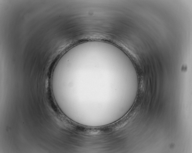 X0000102370206200808011031