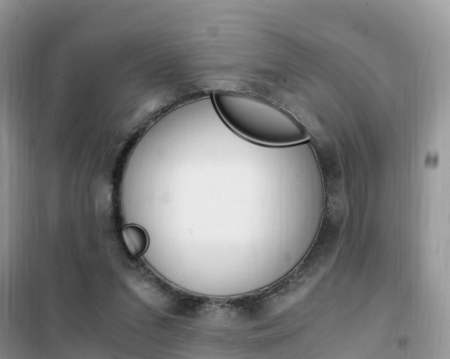 X0000102370207200808011031