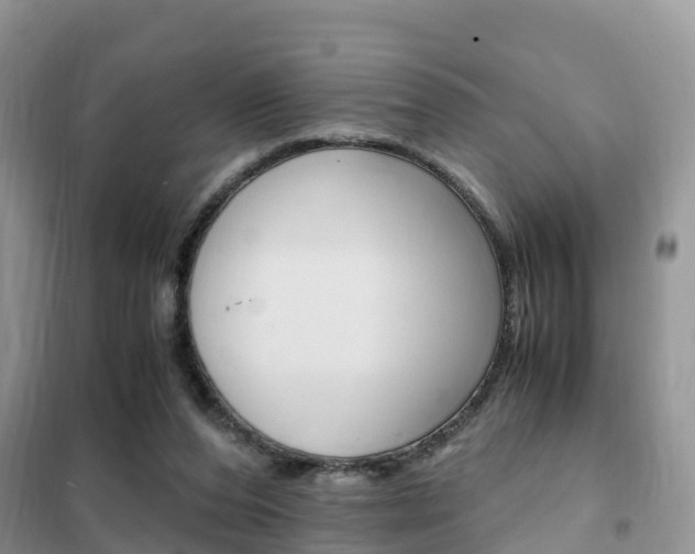 X0000102370208200808011031