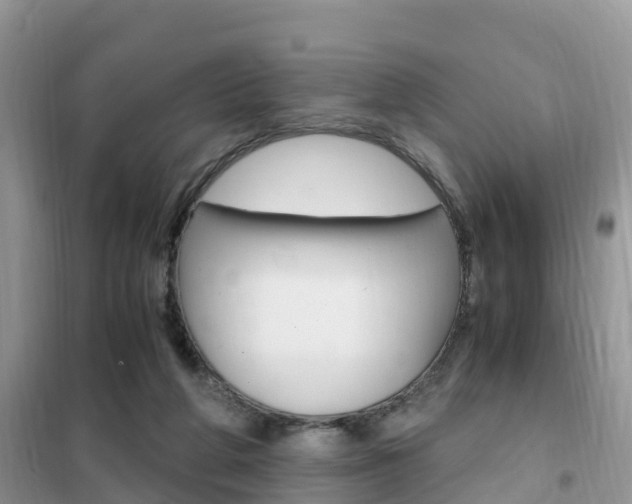 X0000102370210200808011031