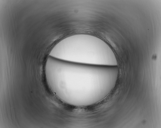 X0000102370211200808011031