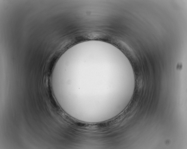 X0000102370214200808011031