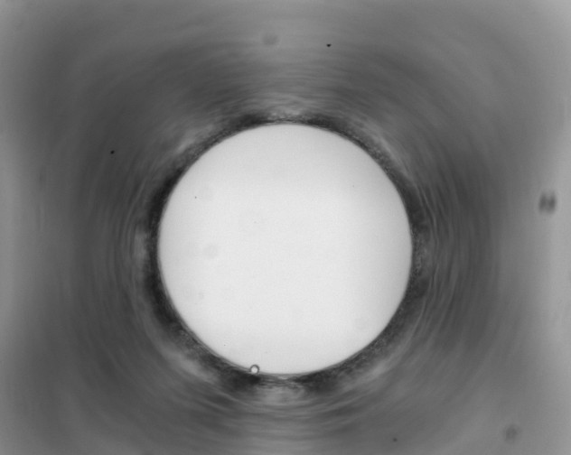 X0000102370215200808011031