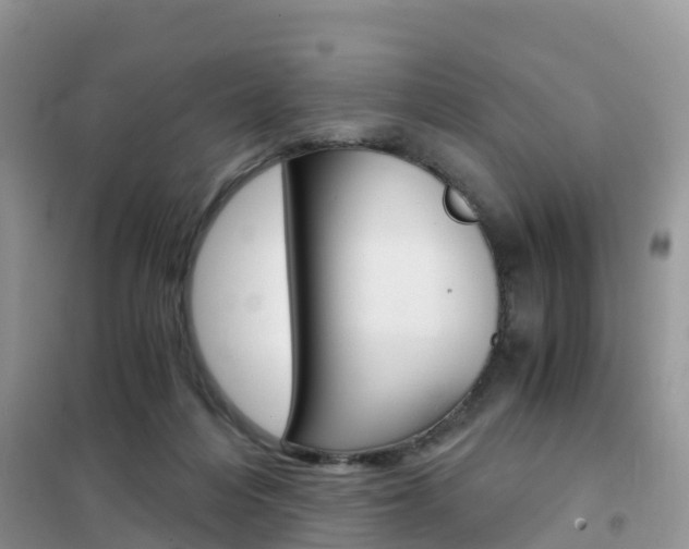 X0000102370216200808011031