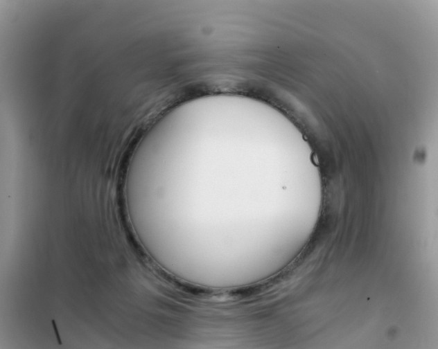 X0000102370217200808011031