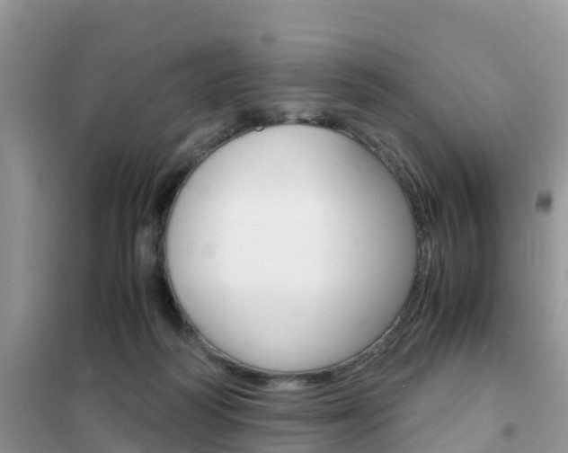 X0000102370218200808011031