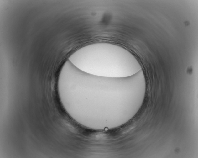 X0000102370219200808011031