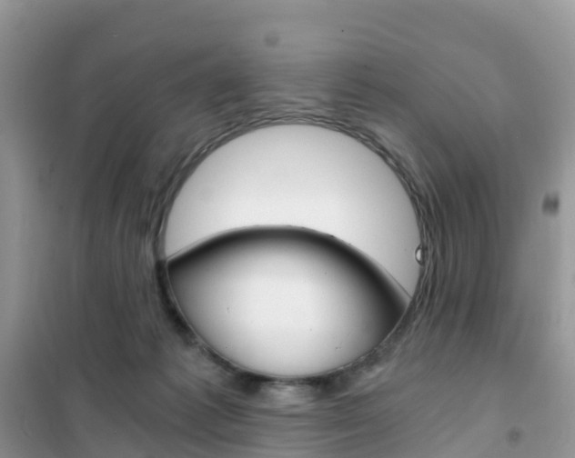 X0000102370221200808011031