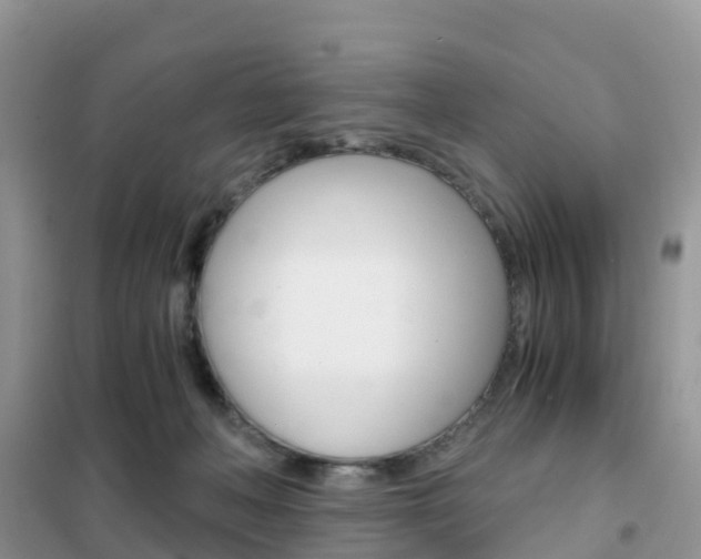 X0000102370222200808011031