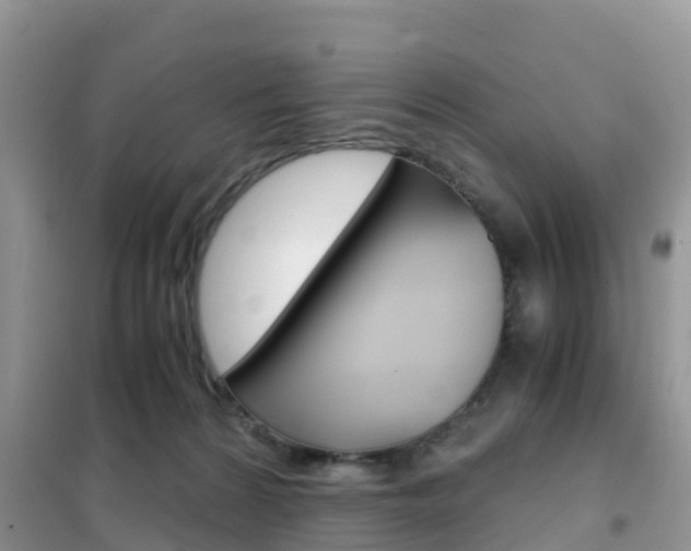 X0000102370224200808011031