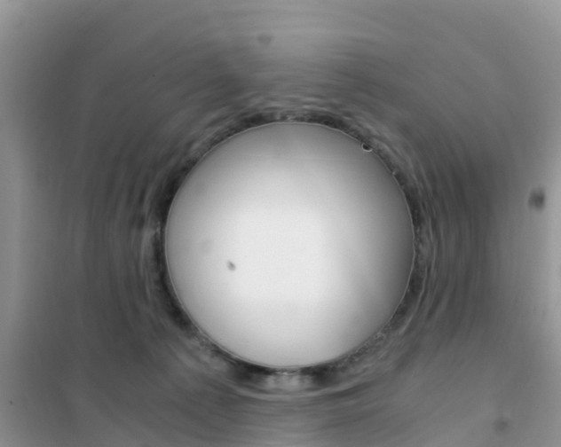 X0000102370225200808011031