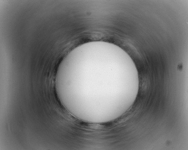 X0000102370226200808011031