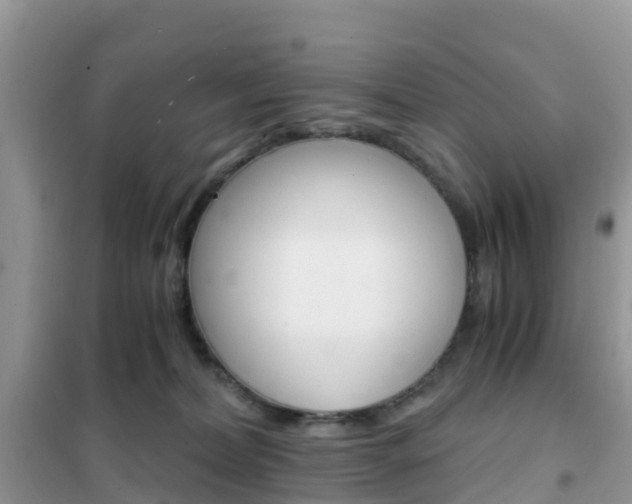 X0000102370228200808011031