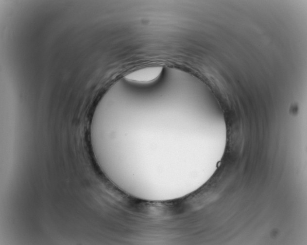 X0000102370229200808011031