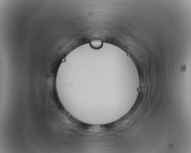 X0000102370231200808011031