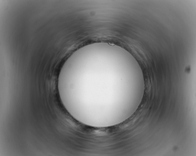X0000102370232200808011031