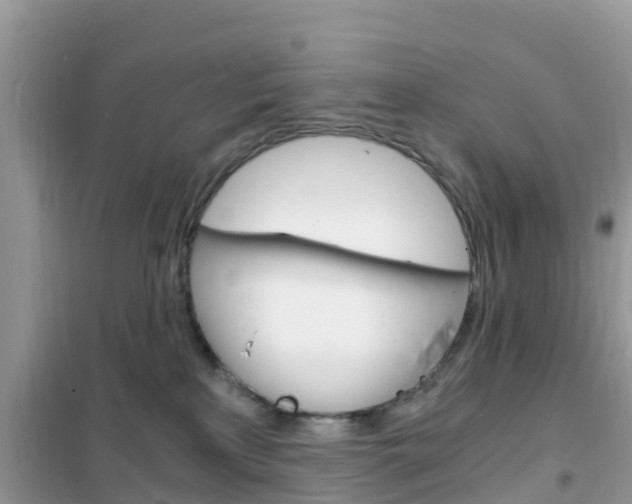 X0000102370233200808011031