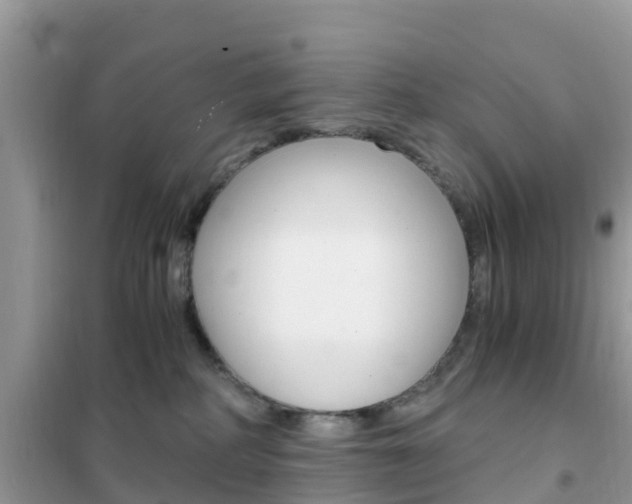 X0000102370234200808011031