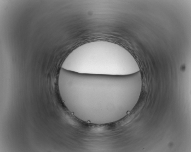 X0000102370235200808011031