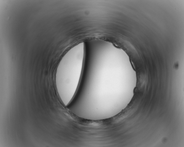 X0000102370236200808011031