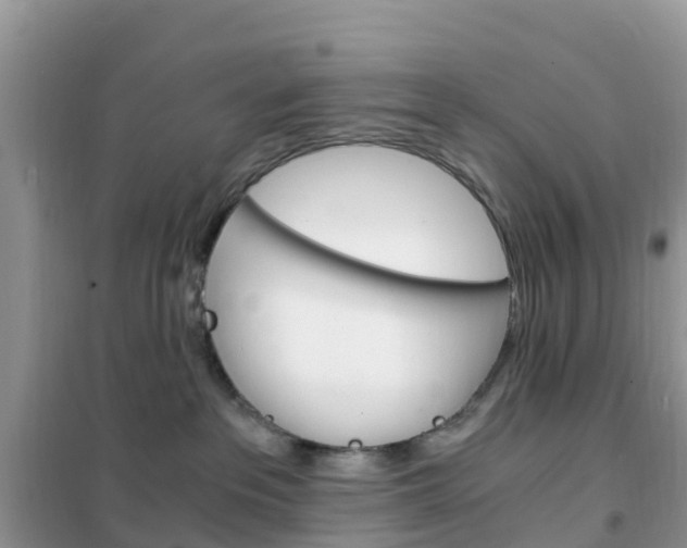 X0000102370237200808011031