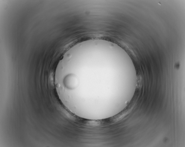 X0000102370238200808011031