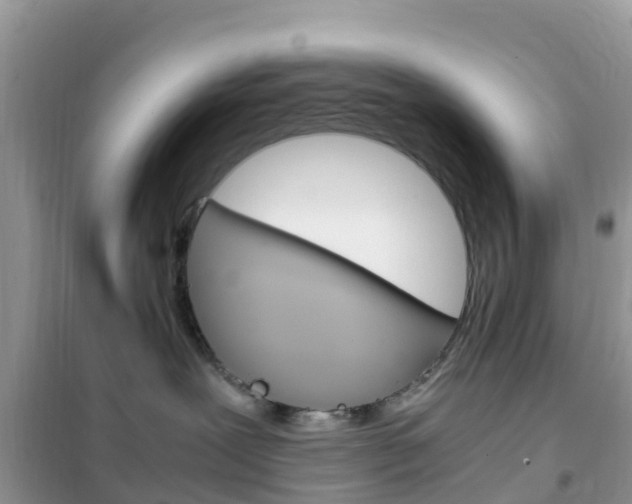 X0000102370239200808011031