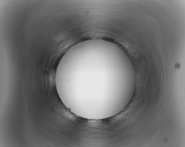 X0000102370240200808011031