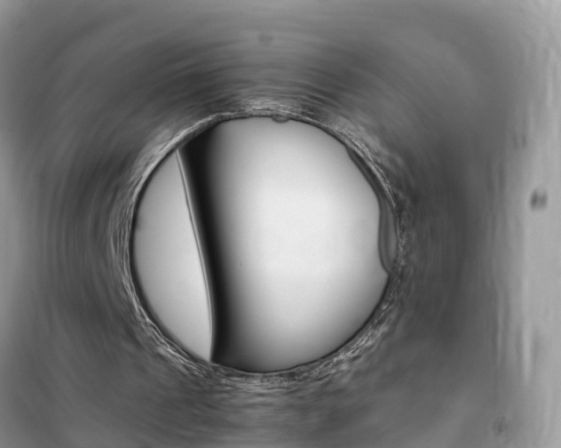 X0000102370241200808011030