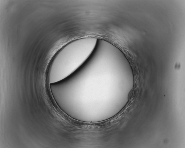 X0000102370242200808011030