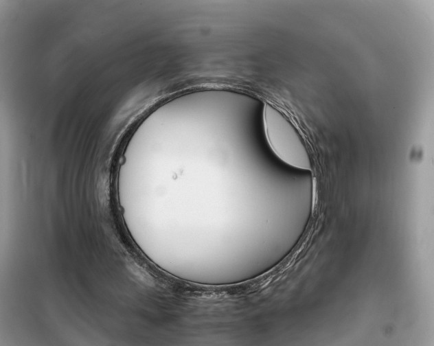 X0000102370243200808011030