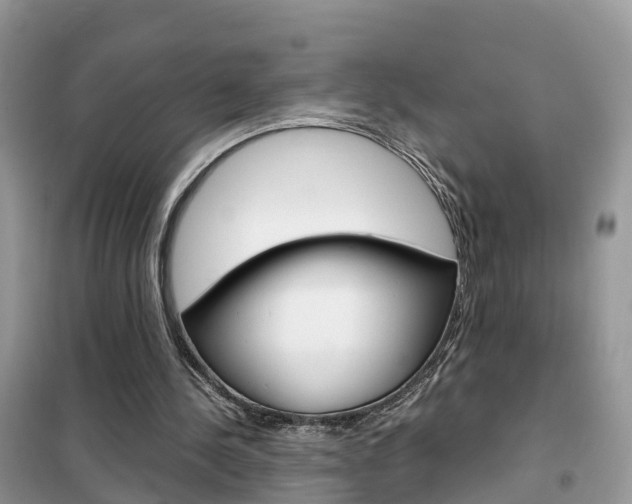 X0000102370244200808011030