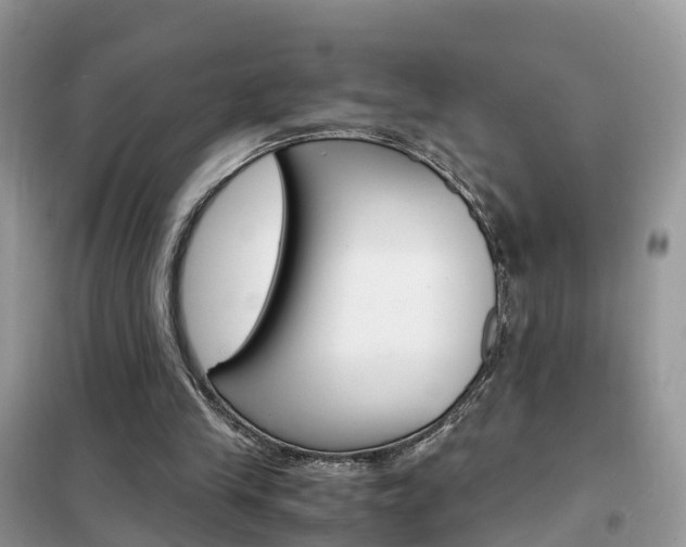 X0000102370245200808011030