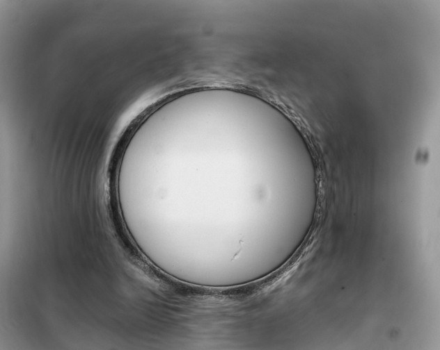 X0000102370246200808011030