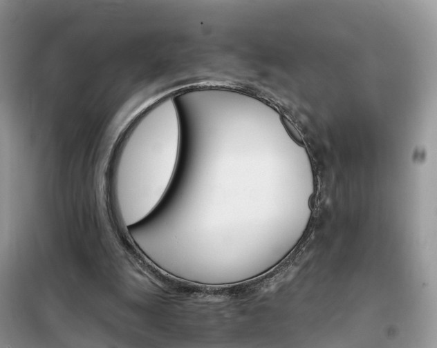 X0000102370247200808011030