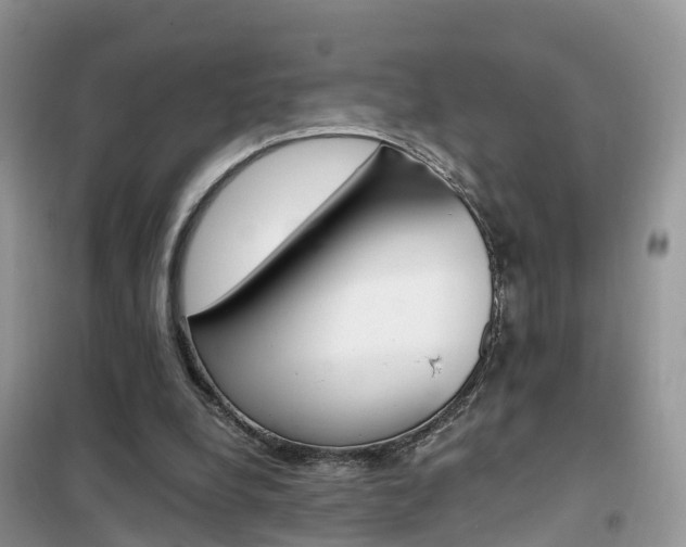 X0000102370248200808011030