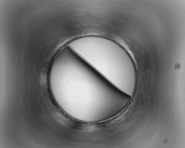X0000102370249200808011030