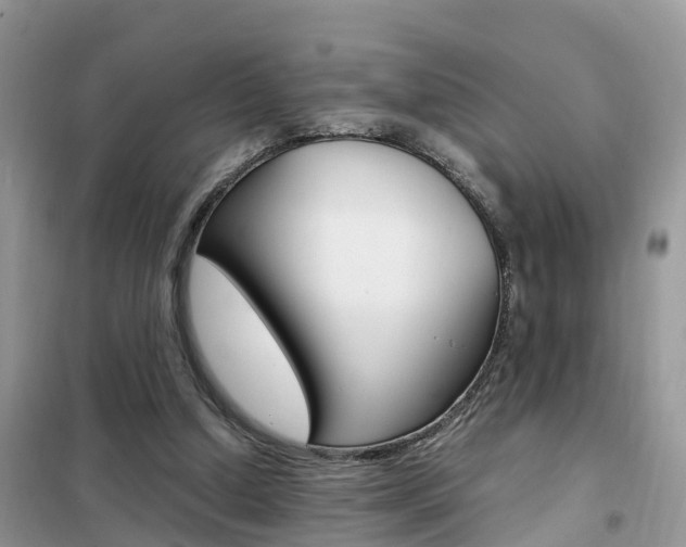 X0000102370250200808011030