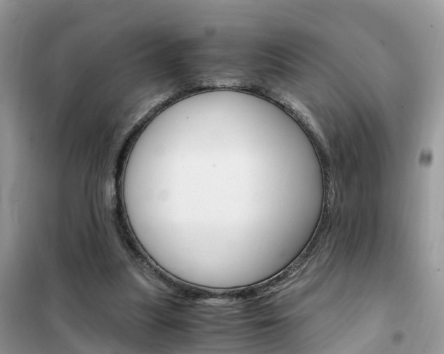 X0000102370251200808011030