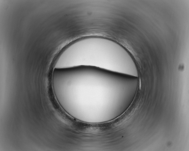X0000102370252200808011030