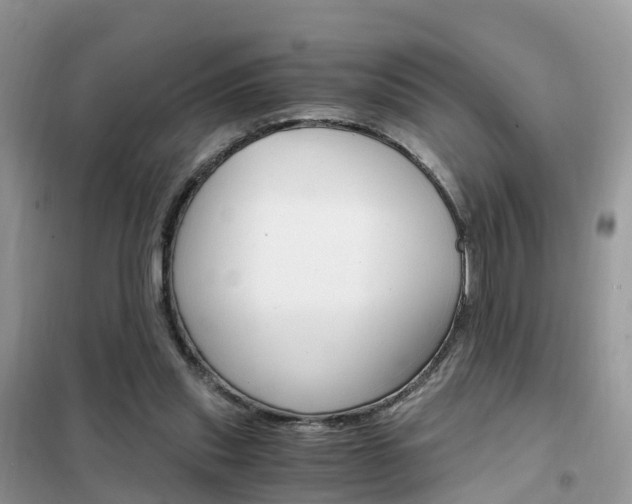 X0000102370253200808011030